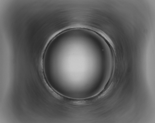 X0000110981388200906261420