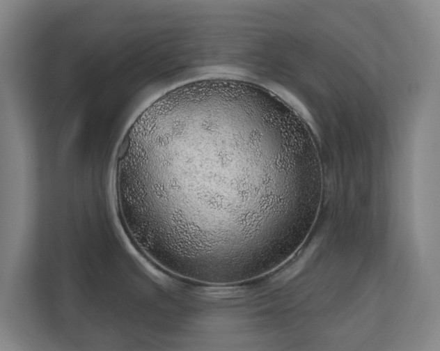 X0000110981391200906261420