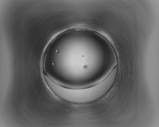 X0000110981392200906261420