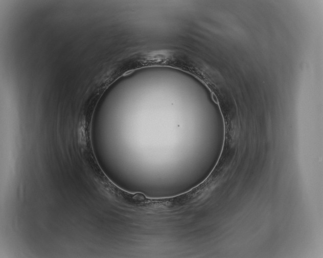 X0000110981394200906261420