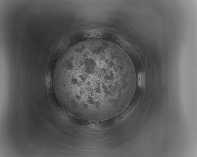 X0000110981395200906261420