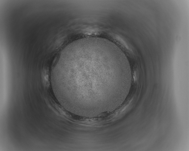 X0000110981396200906261420