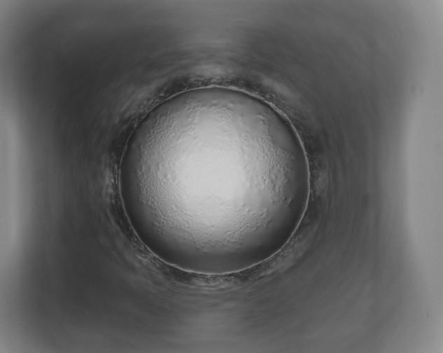 X0000110981397200906261420