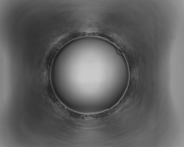 X0000110981398200906261420