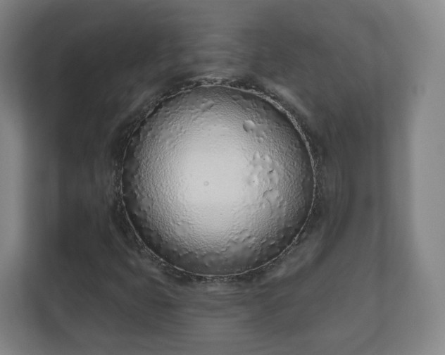 X0000110981399200906261420