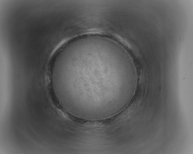 X0000110981400200906261420