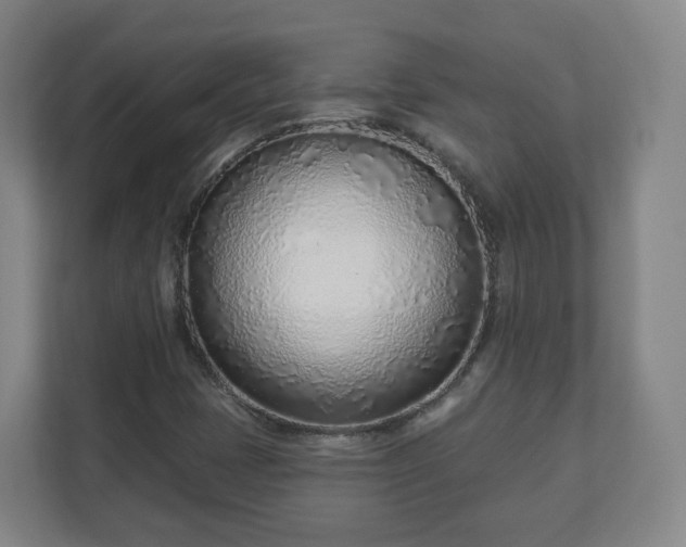 X0000110981401200906261420