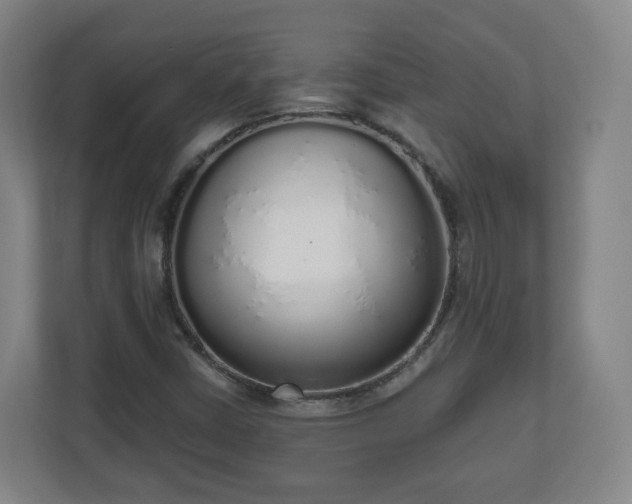 X0000110981402200906261420