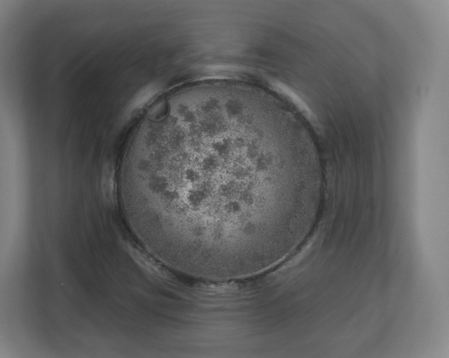 X0000110981403200906261420