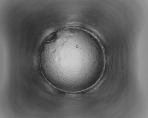 X0000110981405200906261420