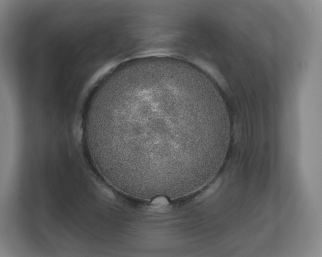 X0000110981406200906261420