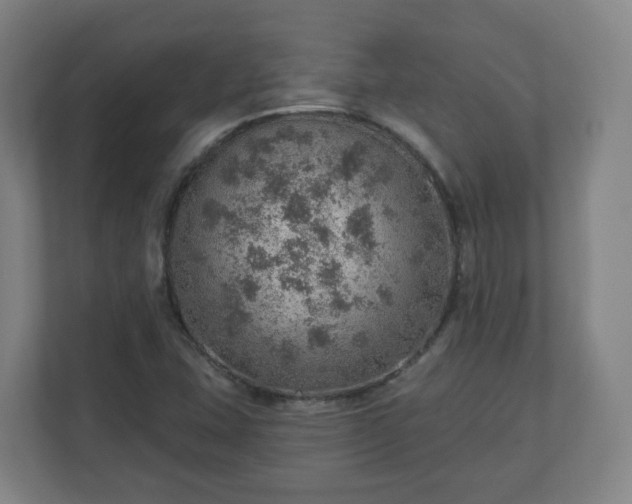 X0000110981407200906261420