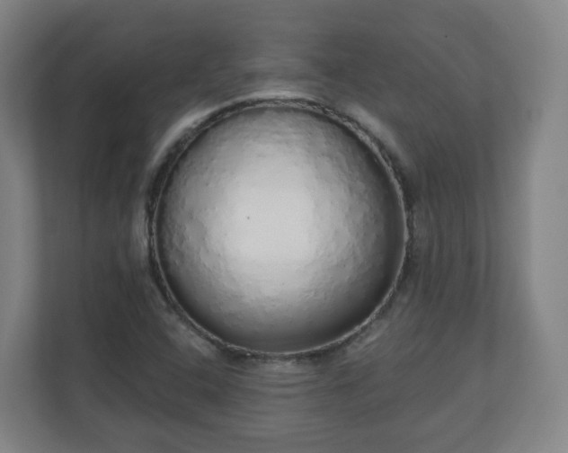 X0000110981408200906261420