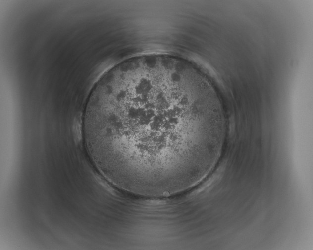 X0000110981409200906261420