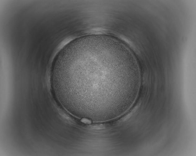 X0000110981410200906261420