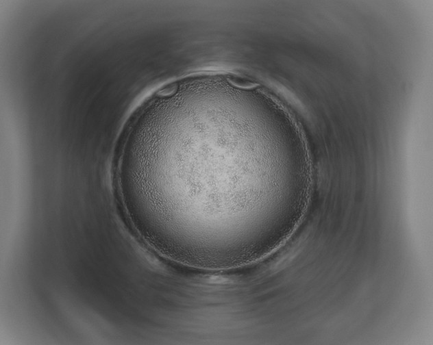 X0000110981412200906261420