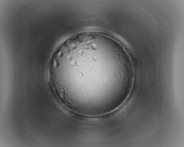 X0000110981413200906261420