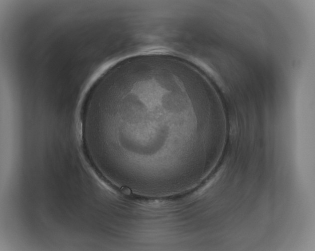 X0000110981414200906261420