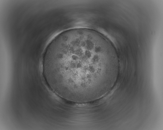 X0000110981415200906261420