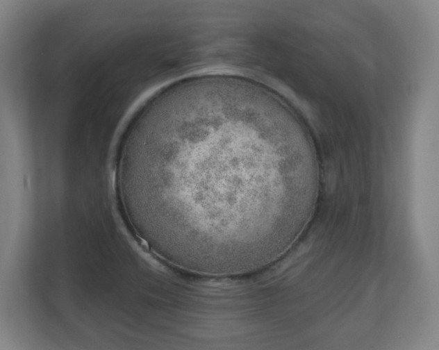 X0000110981416200906261420