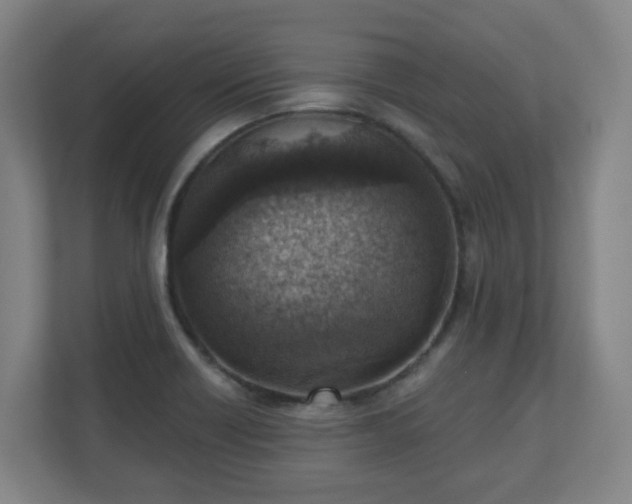 X0000110981418200906261420