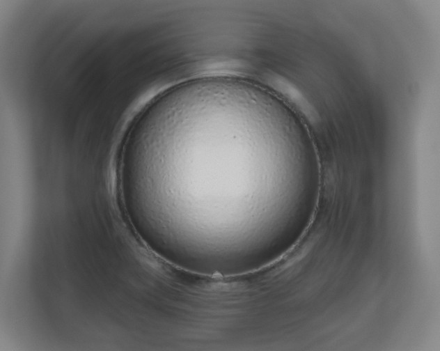 X0000110981419200906261420