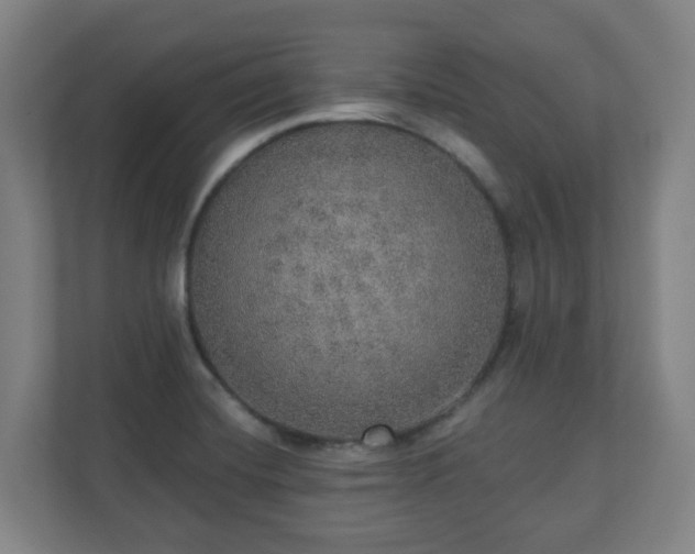 X0000110981420200906261420