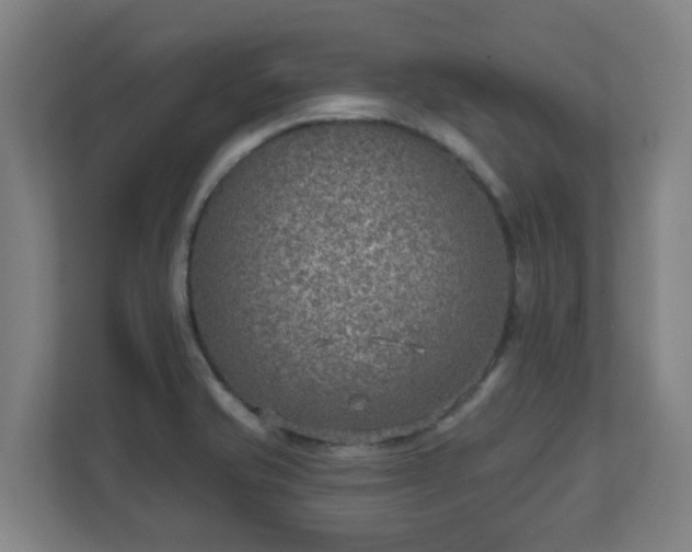 X0000110981421200906261420