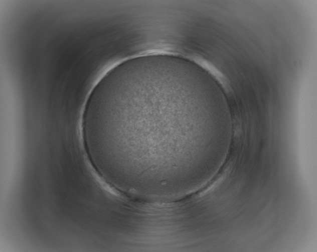 X0000110981423200906261420