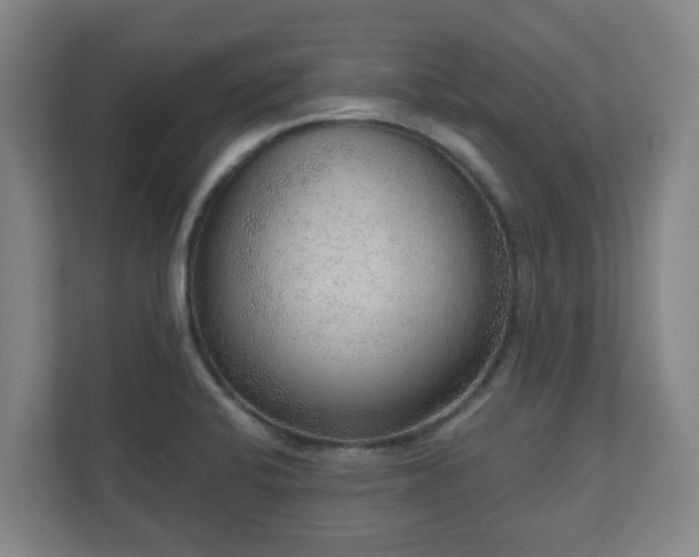 X0000110981424200906261420