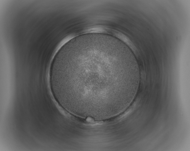 X0000110981426200906261420