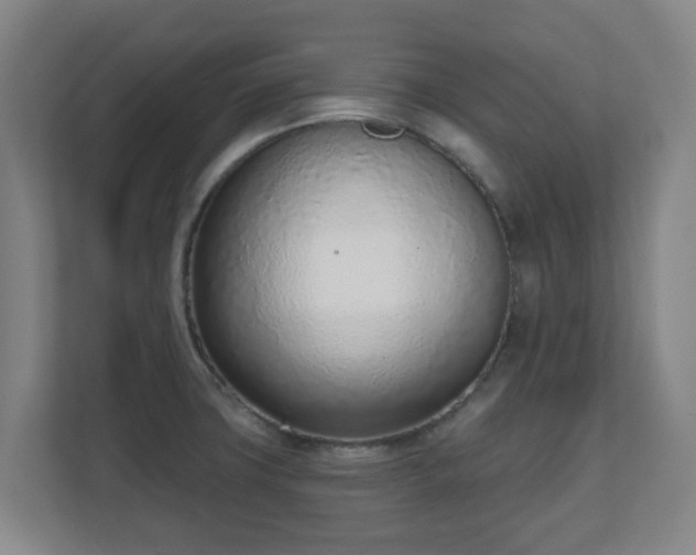 X0000110981427200906261420