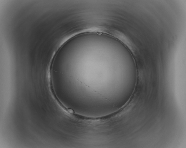 X0000110981428200906261420