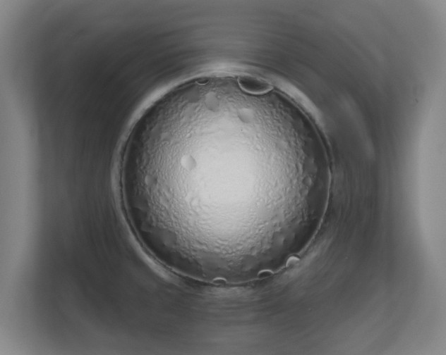 X0000110981429200906261420