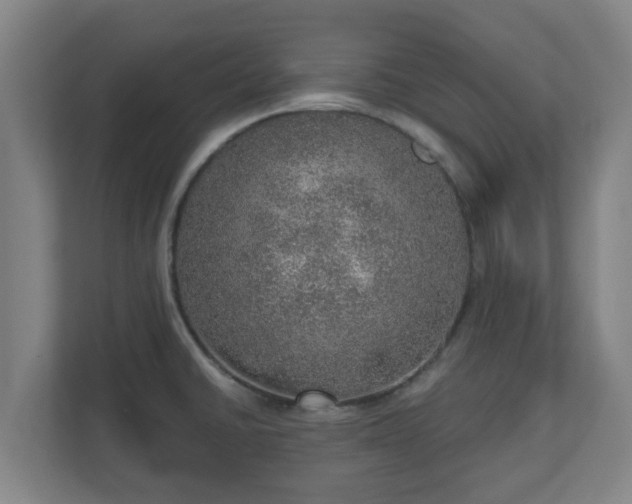 X0000110981430200906261420