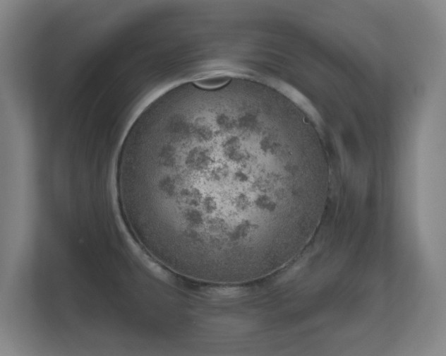 X0000110981431200906261420