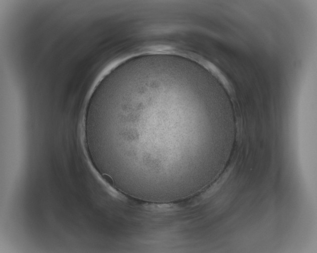 X0000110981432200906261420