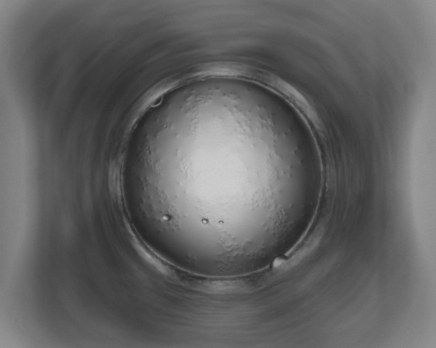 X0000110981433200906261420