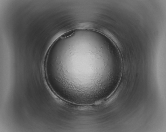 X0000110981434200906261420