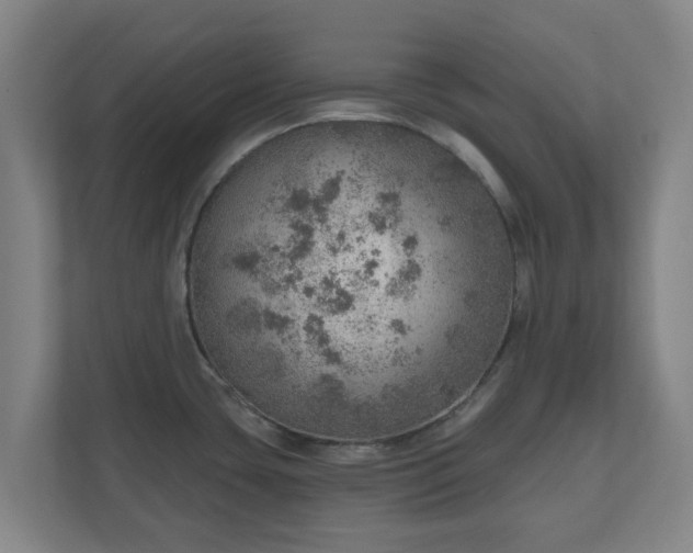 X0000110981435200906261420