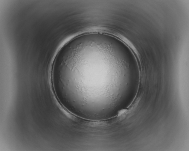 X0000110981437200906261420