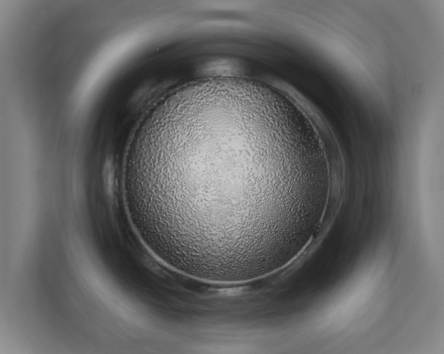 X0000110981438200906261420