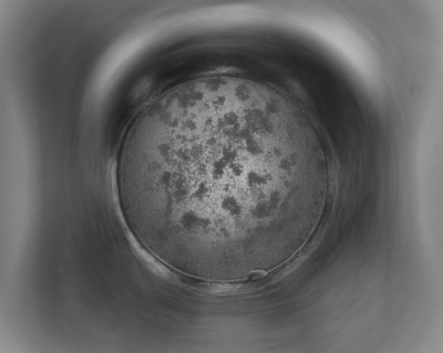 X0000110981439200906261420