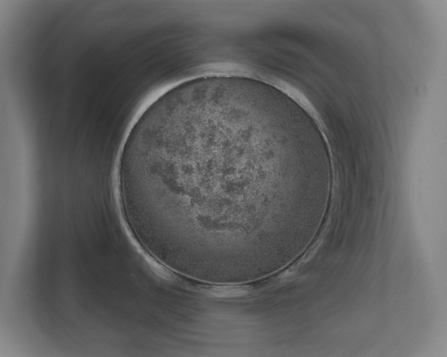 X0000110981440200906261420