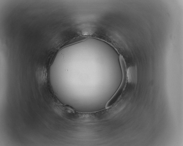 X0000110981443200906261420