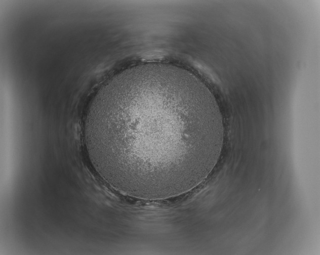 X0000110981445200906261420