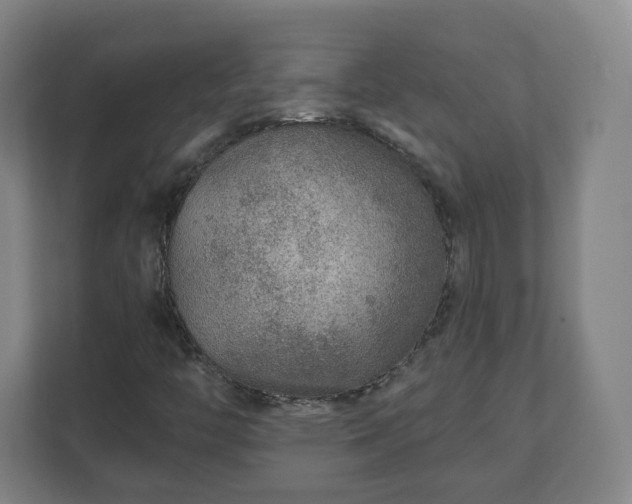 X0000110981446200906261420