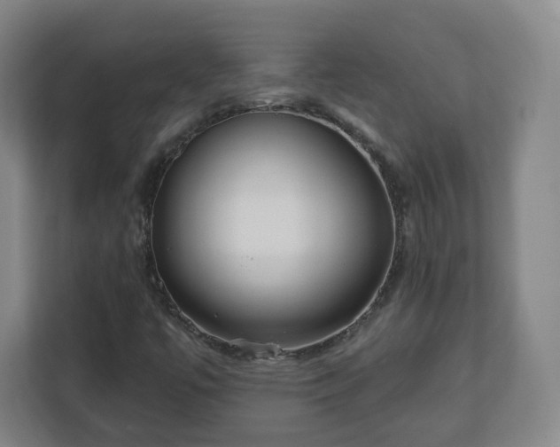 X0000110981447200906261420