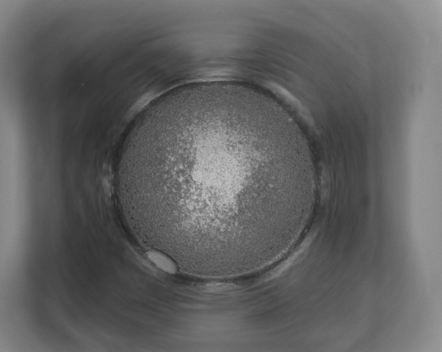 X0000110981449200906261419