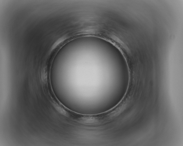 X0000110981450200906261419